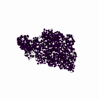 Export Image