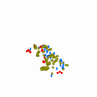 Export Image
