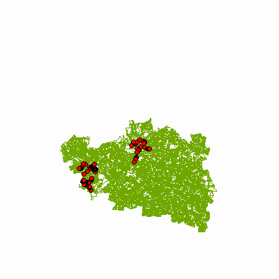 Export Image